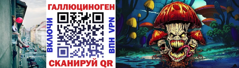 где купить   Нерчинск  Галлюциногенные грибы Psilocybine cubensis 